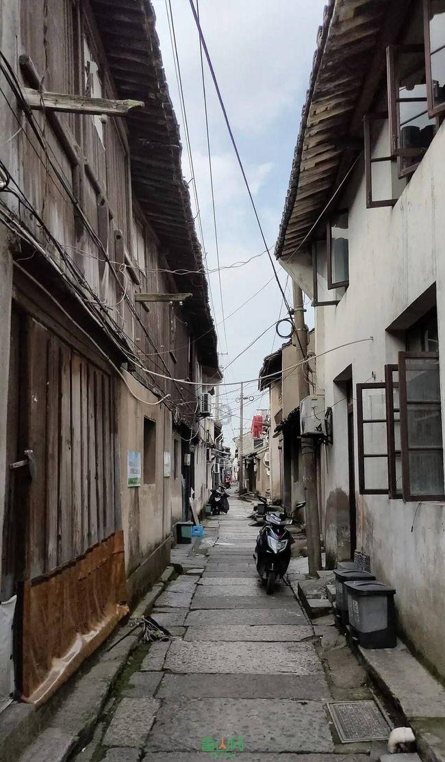 小猫钓鱼开船版最新版下载